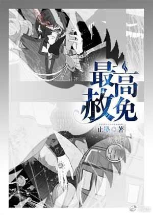 最高赦免在线阅读