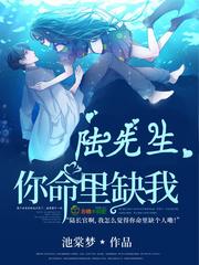 陆先生你是我命中注定免费阅读
