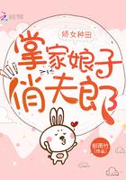 掌家娘子俏夫郎TXT