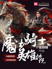 魔法骑士 攻略