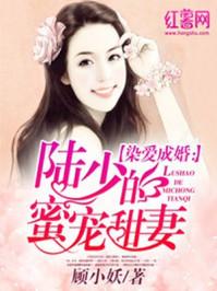 陆少宠妻太甜蜜目录