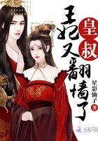 王妃要翻墙