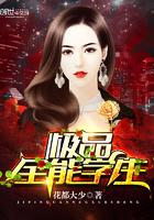 极品全能高手TXT