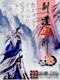 剑道通神多少字数?