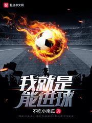我就是能进球的免费全文阅读