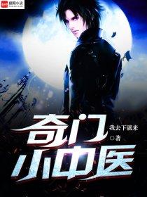 奇门小神医第二卷