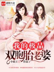 我的双胞胎老婆 txt