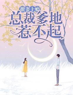 总裁爹地撩上天免费阅读