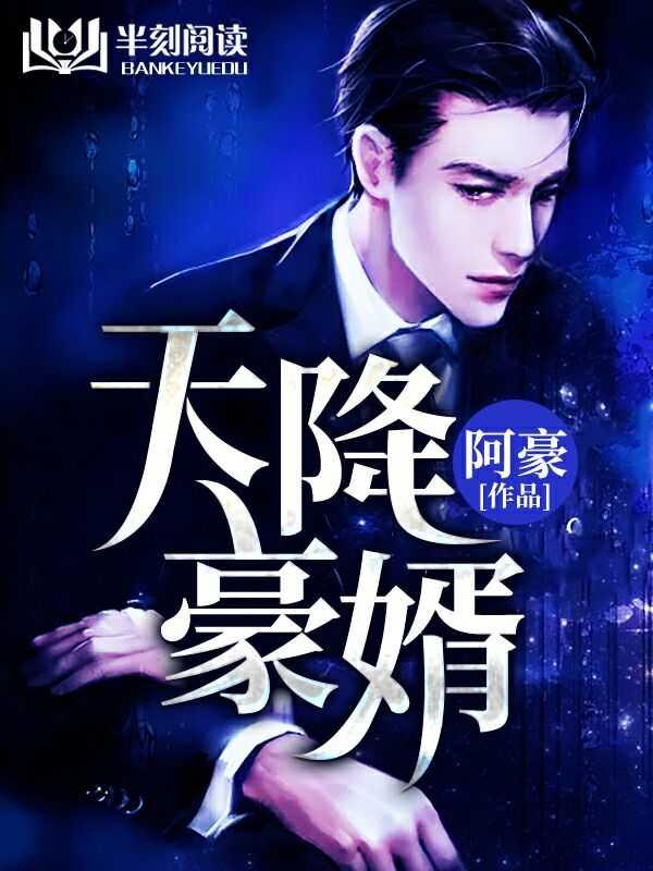 天降豪婿最新完整版