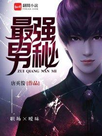 最强男秘 洪七
