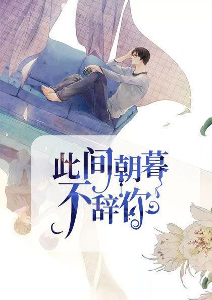 宋辞霍慕沉的