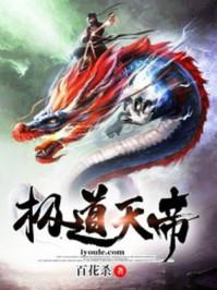 关于极道帝兵的