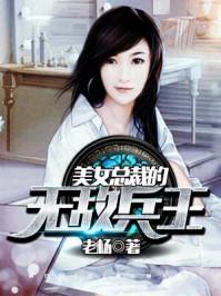 美女总裁无敌兵王杨帆
