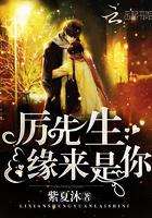 缘来是你言夏夜