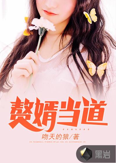 赘婿当道轩辕昊