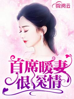 首席暖妻很深情免费阅读