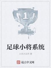 足球小将系统的有哪些