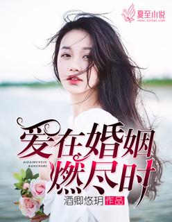 燃烧婚姻爱过你阅读