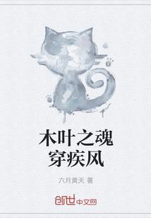 木叶之魂穿疾风哥哥