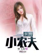 最强赘婿原著