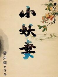 夫君是未来大魔王怎么办盘