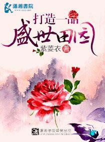 叶龙的书