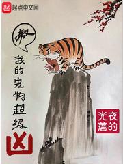 我的宠物最秀