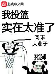 我投篮实在太准了手打无错字版