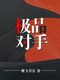 极品拍档