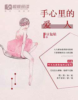 西南崛起TXT