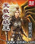 无敌升级王三七