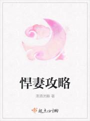 悍妻攻略免费阅读