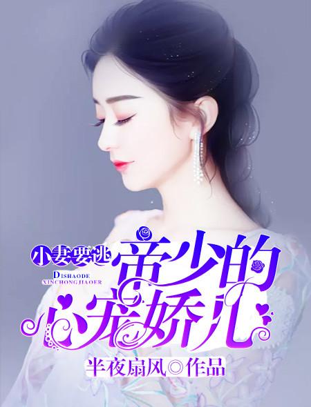 爱情公寓之伟大恋曲