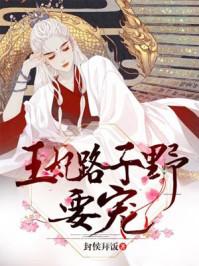 王妃路子野得宠漫画章节列表