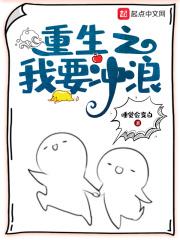 重生之我要冲浪大结局
