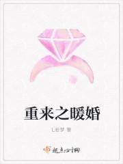 重生之暖婚全文免费