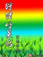 闪婚 天降神秘老公