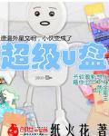 苏若澜慕承舟目录