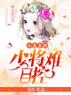 少将的小小妻