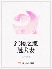 广东九鼎集团
