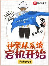 神豪从系统宕机作者