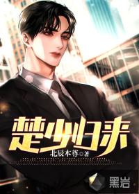 楚少归来完整版