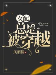 第一杀手女婿沈飞结局