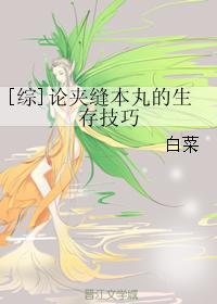 星际争霸1 守护者