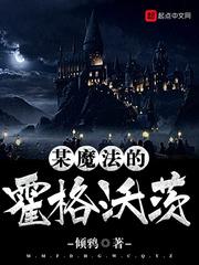 某魔法的霍格沃茨书阁