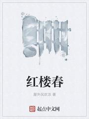 红楼春梦(全篇)王夫人