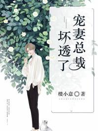 宠妻总裁坏透了沐暖暖