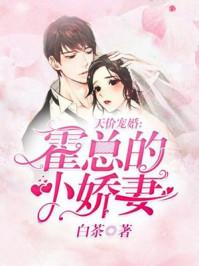 天价宠婚霍总的小娇妻TXT书包网