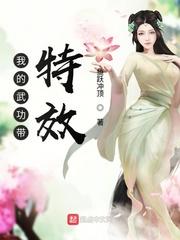 我的武功带特效123