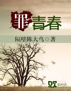 第一龙婿叶龙辰